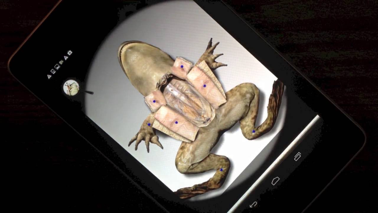 virtual frog dissection virtual frog dissection