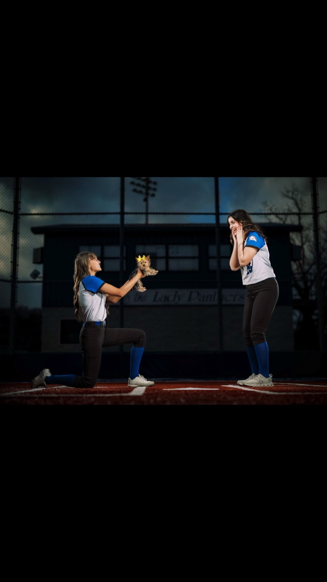 Softball proposal with the puppy! So Cute! #sportsphotographer #nikon