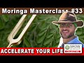Living More in TUNE With Nature- Get The Help You Need To Succeed | Moringa Masterclass Audiobook 33
