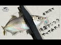 【アジング】出洲港で湾奥豆アジングやってみた！【湾奥】
