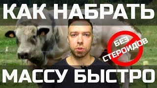 КАК БЫСТРО НАБРАТЬ ВЕС БЕЗ ХИМИИ. Секрет роста мышц. Фоллистатин. Миостатин. Блокатор миостатина.