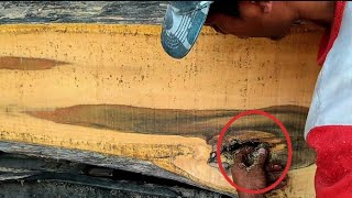 Bu Büyük Ormanda Bir Şey Bulduğumda Şaşırdım. Kereste Fabrikası.