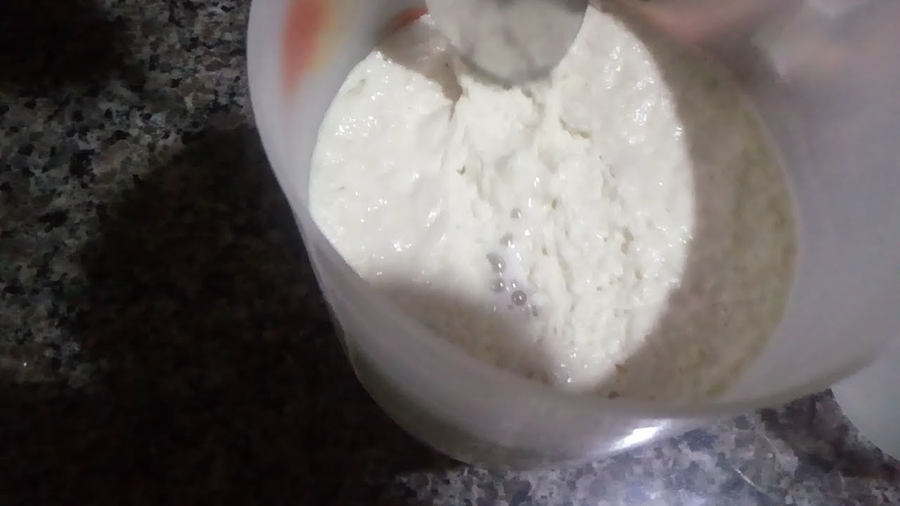 Fermento de Litro ou de Cristo 100% Natural e Caseira