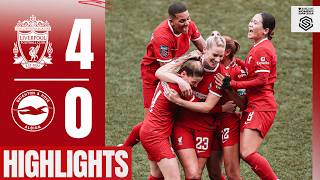  Highlights