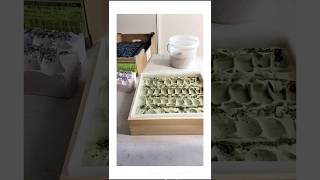 How To Start A Soap Business With My Top Tips In The Description