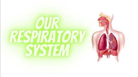 Emission Control System Part 1 | DJA30023 | English