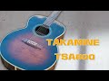 Takamine TSA800