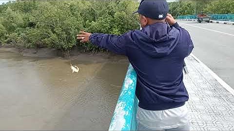 Giới thiệu điểm câu cá giải trí cuối tuần tại Cần Giờ | Sông Nước Cần Giờ - Châu Huỳnh.