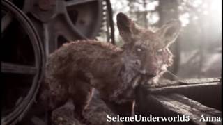 ► Зомби животные (Zombie Animals) ϟ Z Nation veg ► Зомби животные (Zombie Animals) ϟ Z Nation veg