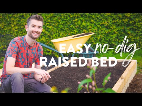 How to Make a No-Dig Raised Bed