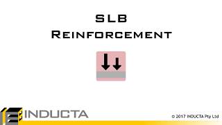 Celebrity SLB 14 -  Reinforcement Net Worth