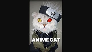 Is This A Cat Or An Android Number 18?