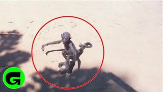 TOP 5 STRANGE CREATURES CAUGHT ON CAMERA & SPOTTED IN REAL LIFE! 1