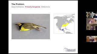 Bird Friendly Building Design with Nick G. Liadis.