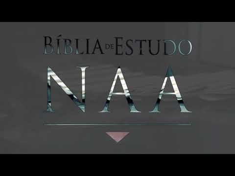 Bíblia de Estudo