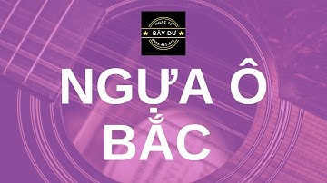 NHẠC SĨ BẢY DƯ - "Ngựa ô Bắc"