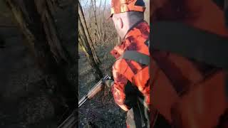 Nlt Žane-Prilazak Na Oblajavanje