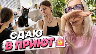 Терпение лопнуло. Сдаю в приют 