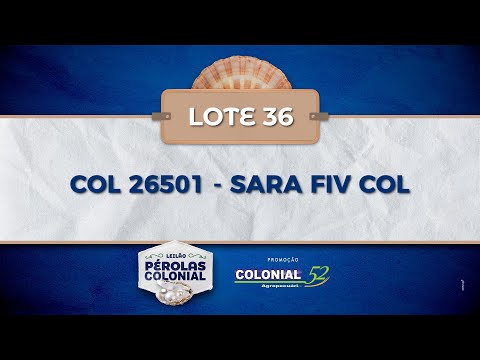 LOTE 36 COL 26501