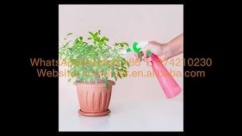 D gun trigger sprayer