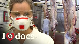 Is It Ok To Not Eat Meat?going Meat-free - Health Documentary