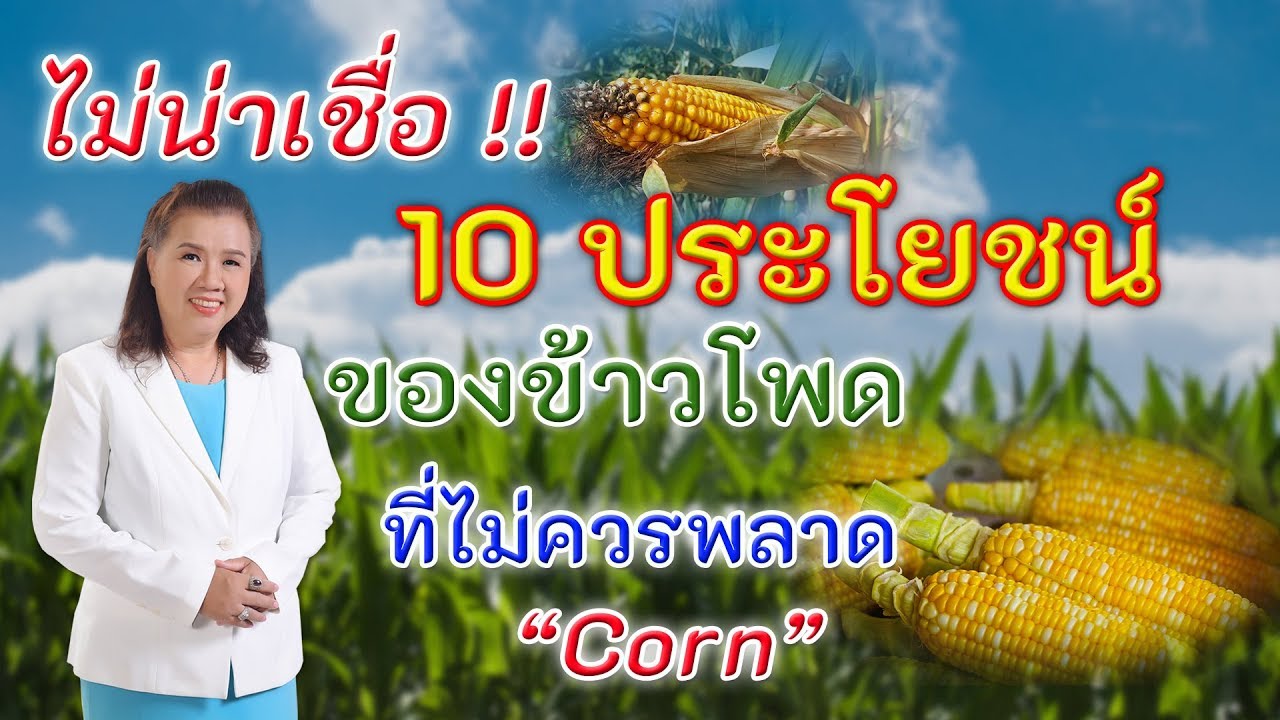 ไม่น่าเชื่อ !! 10 ประโยชน์ของข้าวโพดที่ไม่ควรพลาด | corn |  พี่ปลา Healthy Fish