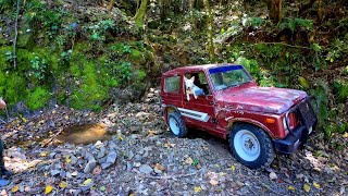 Fixing the Salvaged Suzuki SJ410 4x4 and testing on Steep Forest Trails