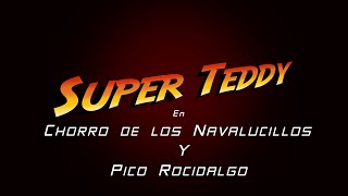 Rocidalgo Teddy