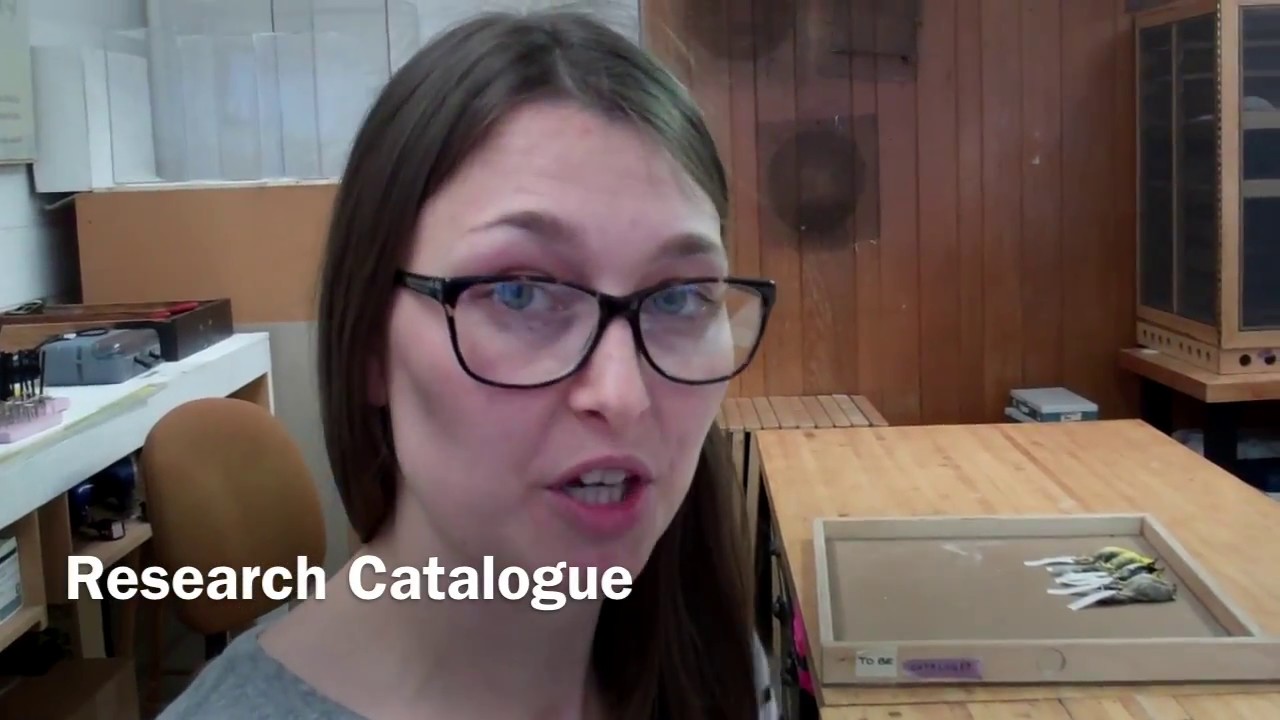 Research Catalogue Data