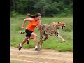 Human vs. Cheetah: The Physics Race (Why Humans Win Long-Distance, Lose Sprints) #shortvideo #viral