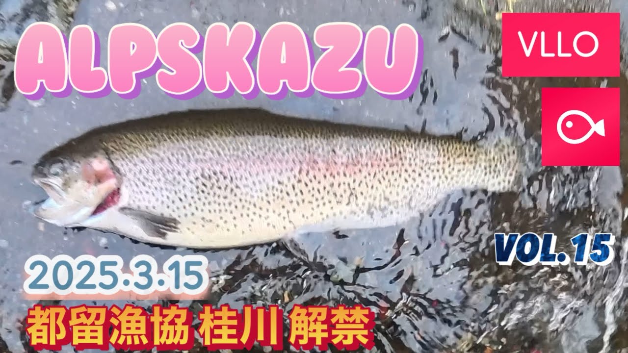 2025年 渓流解禁 都留漁協桂川　insta360X4