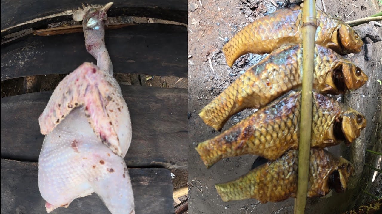 BẪY GÀ RỪNG,BẺ MĂNG,BẮT CÁ SUỐI...