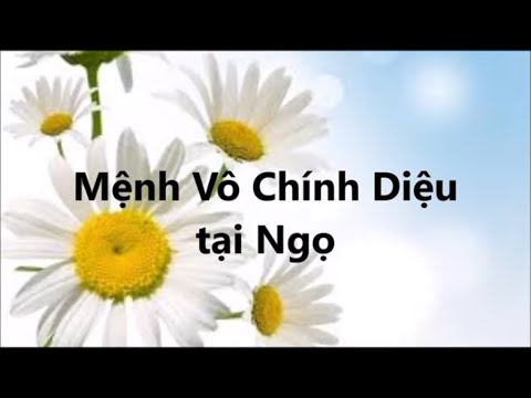 Video Mệnh vô chính diệu tại Ngọ - youtube