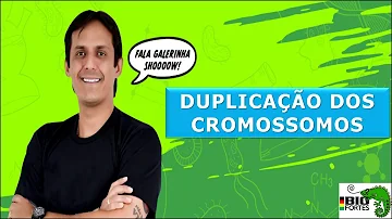Em qual etapa ocorre a duplicação dos cromossomos?