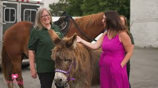 Packard Meadows in Niagara County rescues horses and people