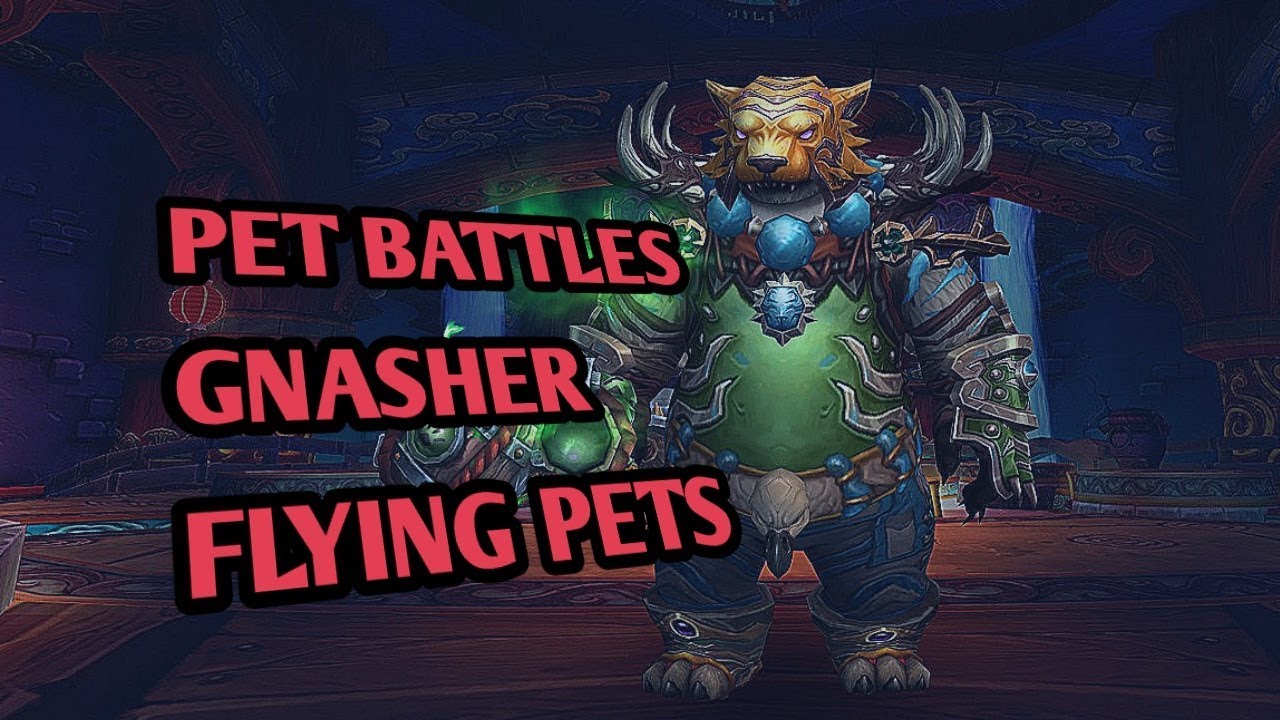 How to beat Gnasher with Flying pets - world of warcraft