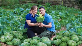Harvesting cabbage in the garden, Installing a wooden house, Cooking family dishes