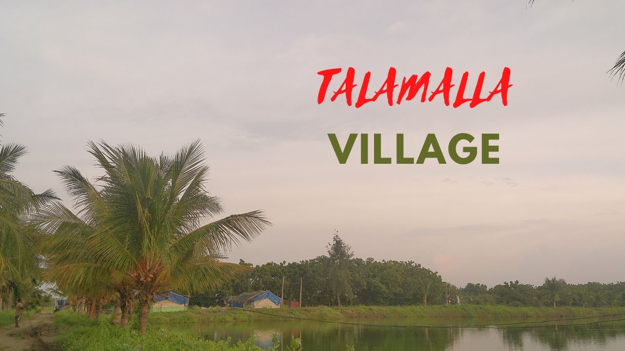 TALAMALLA VILLAGE | PODILI MANDAL | PRAKASAM DISTRICT | ANDHRA PRADESH | 523253