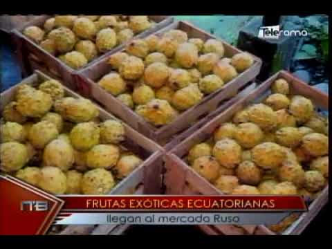Frutas exóticas ecuatorianas llegan al mercado Ruso