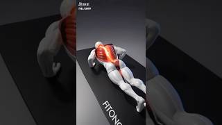 Lose Back Fat Fast at Home!#fitness #backworkout #viralshort
