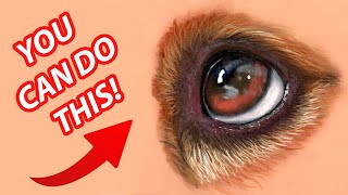 Cours facile pour débutants ! Dessin des yeux au crayon pastel – Art animalier screenshot 5