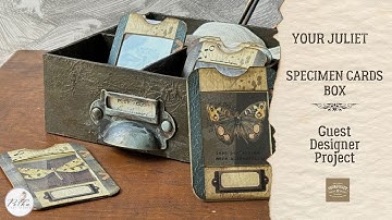DIY: Specimen slides box YOUR JULIET Guest Designer Project