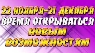 22 ноября-21 декабря время открываться новым возможностям, которые щедро будет предлагать Мироздание