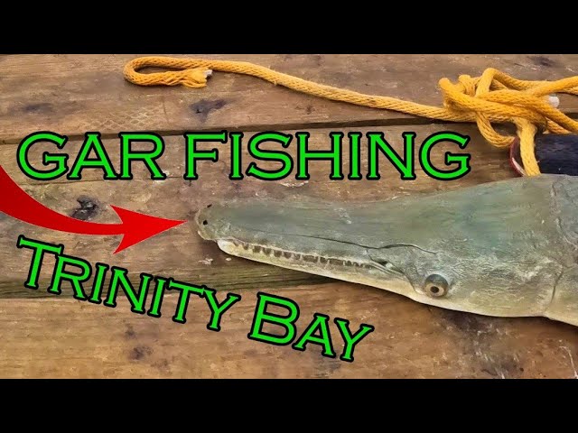 So Many HUGE Fish in This PLACE !!!, Fishing Trinity Bay for GAR