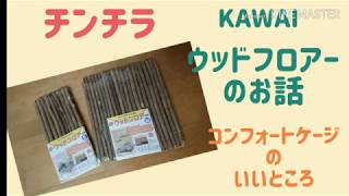 【チンチラ】KAWAI ウッドフロアーのお話 コンフォートケージの良いところも発見! chinchira