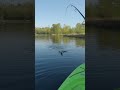 Crazy bass fishing