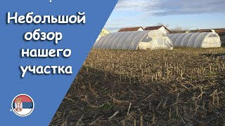 Обзор нашего участка. Первый год.