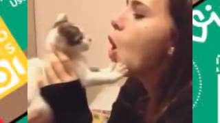 Не все коты любят целоваться Не все коты любят целоваться