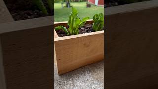 Scrap Cedar Planter Made Easy