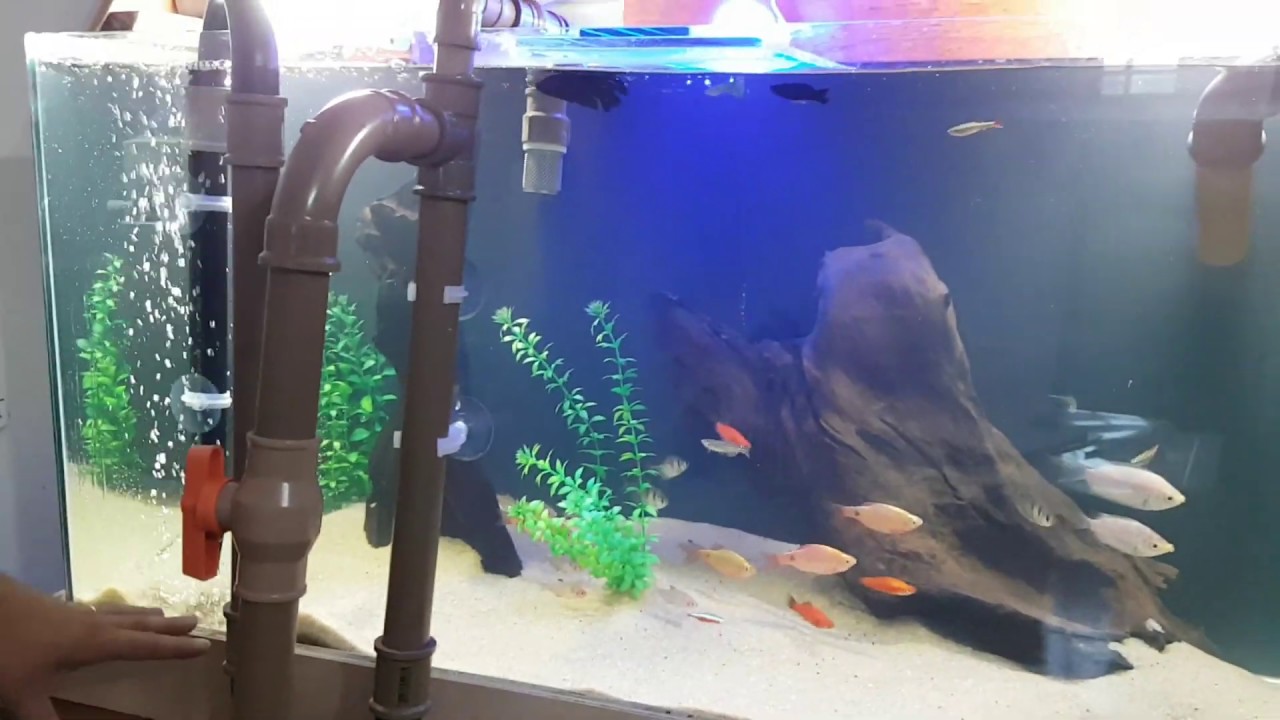 Como fazer um OVERFLOW REVERSO SIFONADO - 3000L/H com cano de 1 polegada. (PARTE 2)